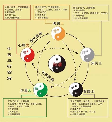 股票五行属什么|股票在五行学说中属于什么属性？这种属性如何影响投资策略？